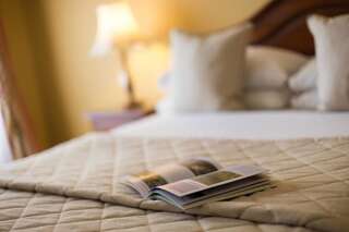 Отель Sheedys Country House Hotel Лисдунварна Двухместный номер с 2 отдельными кроватями-4